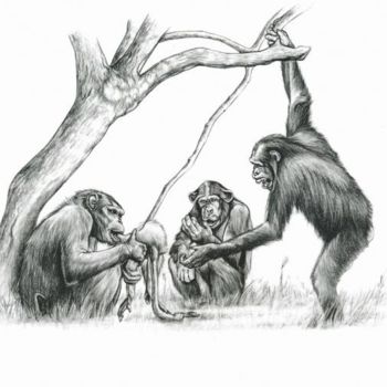 Drawing titled "Chimpanzés" by Cécile Aquisti, Original Artwork