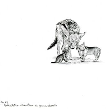 Drawing titled "Chacals" by Cécile Aquisti, Original Artwork