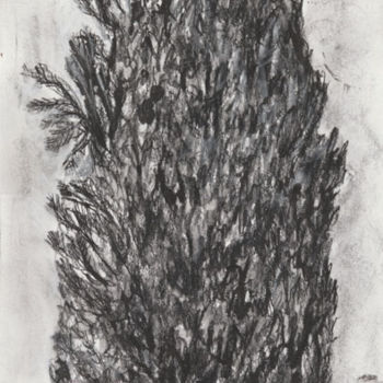 Dibujo titulada "croquis arbre" por Cécile Rateau, Obra de arte original