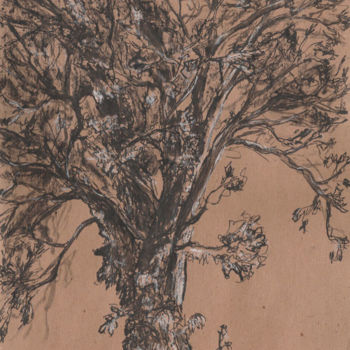 Drawing titled "croquis arbre" by Cécile Rateau, Original Artwork