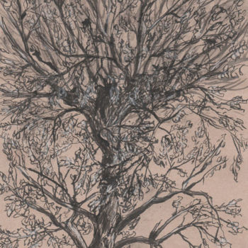 Drawing titled "croquis arbre" by Cécile Rateau, Original Artwork