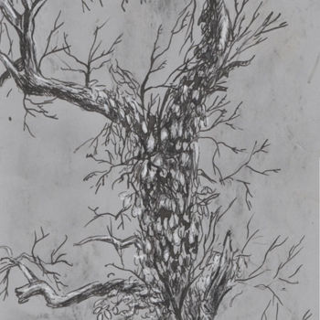 Drawing titled "croquis arbre" by Cécile Rateau, Original Artwork