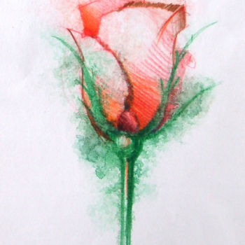 Disegno intitolato "ROSE" da Cecilia Teodoru, Opera d'arte originale