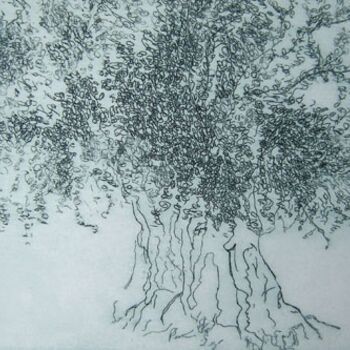 Printmaking titled "Ulivo" by Cecilia D'Angela, Original Artwork, Other