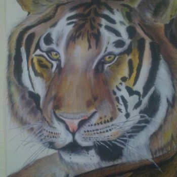 Painting titled "tigre" by Cedric Moreau, Original Artwork
