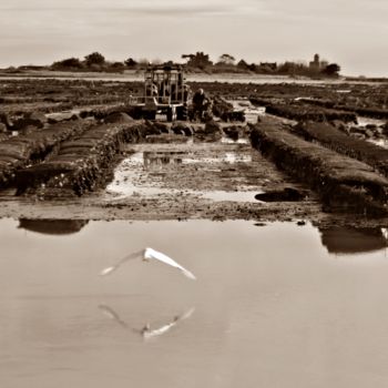 Photographie intitulée "Travailleur de la m…" par Céline Folloppe, Œuvre d'art originale, Photographie numérique