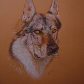 Dibujo titulada "loup-tcheque.jpg" por Céline Lafont, Obra de arte original, Conté