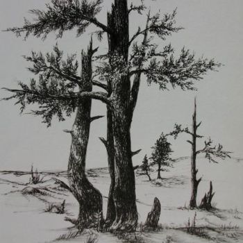 Dibujo titulada "Pyrénées - les pins" por Céline Baubeau, Obra de arte original