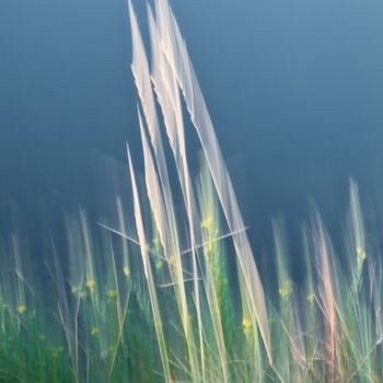 Photographie intitulée "Les brins d’herbe" par Céline Pivoine Eyes, Œuvre d'art originale, Light Painting