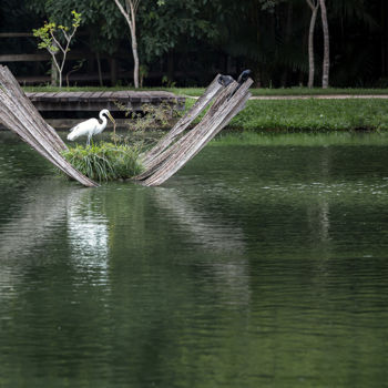 摄影 标题为“Heron's Nest” 由Celso Lobo, 原创艺术品, 数码摄影