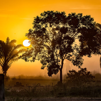 Photographie intitulée "Sunset-0065" par Celso Lobo, Œuvre d'art originale, Photographie numérique