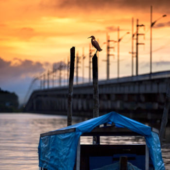 Photographie intitulée "Waiting for the sun" par Celso Lobo, Œuvre d'art originale, Photographie numérique