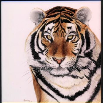Pintura titulada "Tigre" por Myriam Suter, Obra de arte original