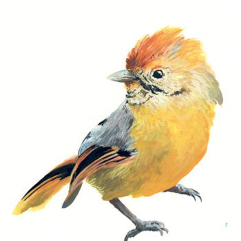 Malerei mit dem Titel "petit-oiseau-vif" von Pascal Cerchiario, Original-Kunstwerk, Gouache