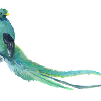 Peinture intitulée "quetzal.jpg" par Pascal Cerchiario, Œuvre d'art originale, Gouache