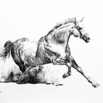 Zeichnungen mit dem Titel "cheval.jpg" von Pascal Cerchiario, Original-Kunstwerk, Tinte