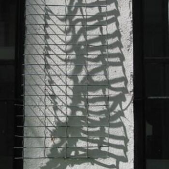 Fotografie mit dem Titel "Scarabée" von Charley Supper-Bertho, Original-Kunstwerk