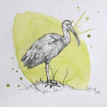 Peinture intitulée "cet-1-ibis-rouge-pe…" par Cet Toutunart, Œuvre d'art originale, Autre