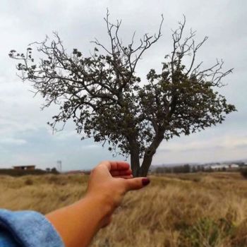 「Lonely Tree」というタイトルの写真撮影 Ceyda Tinによって, オリジナルのアートワーク