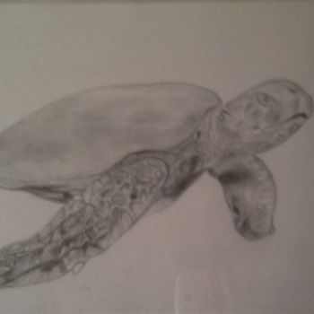Drawing titled "Tortue marine" by Chantal Guionnet-Fusco, Original Artwork, Pencil