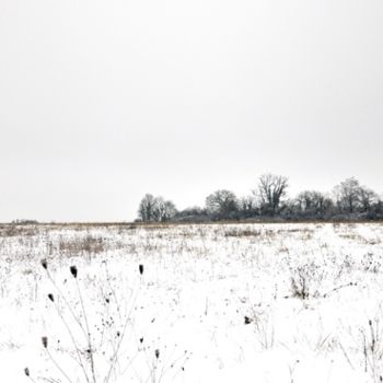 Фотография под названием "sous la neige" - Dominique Chagny, Подлинное произведение искусства