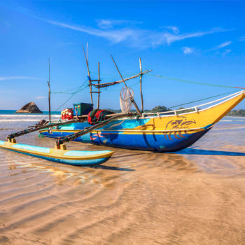 Fotografía titulada "Conqueror of Land a…" por Chaminda Jayasekara, Obra de arte original, Fotografía digital Montado en Otr…