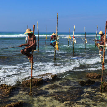 Fotografia intitulada "Patience is a Virtue" por Chaminda Jayasekara, Obras de arte originais, Fotografia digital Montado em…