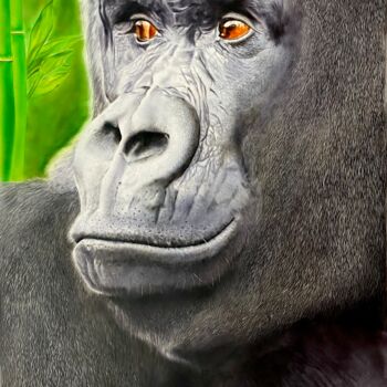"Gorilla Big" başlıklı Tablo Johan De Champs tarafından, Orijinal sanat, Akrilik