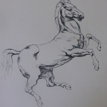 Drawing titled "Cheval sauvage" by Chantal Macé, Original Artwork, Ink Mounted on Other rigid panel