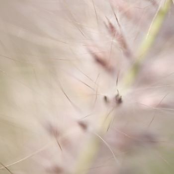 Fotografie mit dem Titel "Tangible" von Chantal Gagné, Original-Kunstwerk