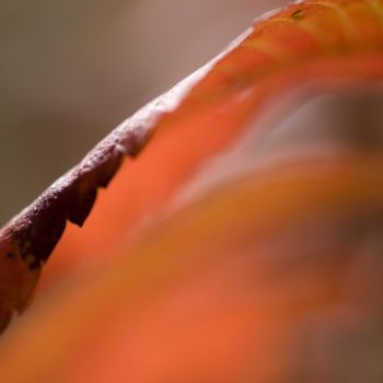 Photographie intitulée "Vague" par Chantal Gagné, Œuvre d'art originale