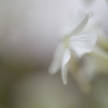 Photographie intitulée "Voie lactée" par Chantal Gagné, Œuvre d'art originale