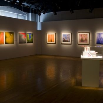 Fotografia intitolato "Exposition Collecti…" da Chantal Gagné, Opera d'arte originale