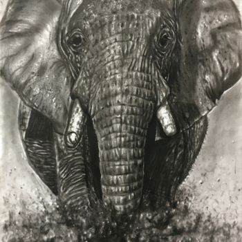 Disegno intitolato "Elephant" da Gabriel Chanto, Opera d'arte originale, Carbone