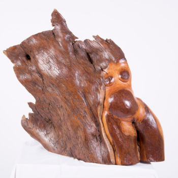 Sculpture titled "Vénus" by Roberto Barata, Original Artwork, Wood