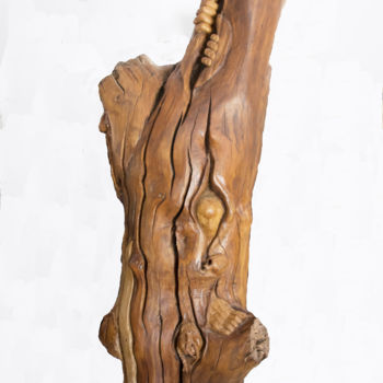 Skulptur mit dem Titel "O Sentido da Vida" von Roberto Barata, Original-Kunstwerk, Holz