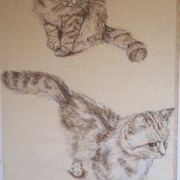 Dibujo titulada "Kittens" por Jeannine Osborne, Obra de arte original