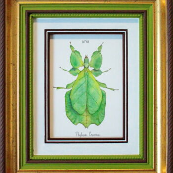 Painting titled "N°18_Phyllium Erico…" by Charlène Chagnard, Original Artwork, Watercolor