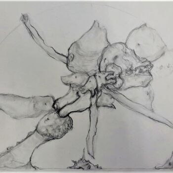 Dessin intitulée "Les visions de Silè…" par Charles Fulgeras, Œuvre d'art originale, Crayon