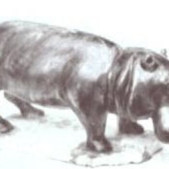 Скульптура под названием "hippopotame" - Charles Favard, Подлинное произведение искусства