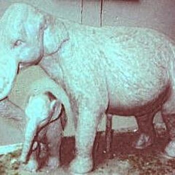 雕塑 标题为“éléphant et son pet…” 由Charles Favard, 原创艺术品