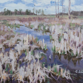 Painting titled "Wetland" by Charles Jiao, Original Artwork, Oil