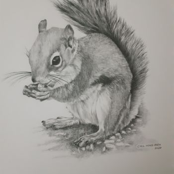 Dessin intitulée "Eastern Gray Squirr…" par Chul Hong Park, Œuvre d'art originale, Crayon