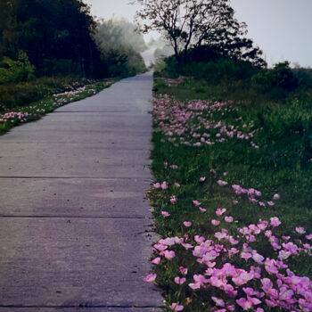 Photography titled "Primrose Path" by Charlotte Daigle, Original Artwork, Digital Photography