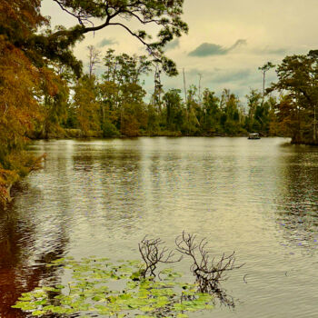 Photography titled "Bend in the River" by Charlotte Daigle, Original Artwork, Digital Photography