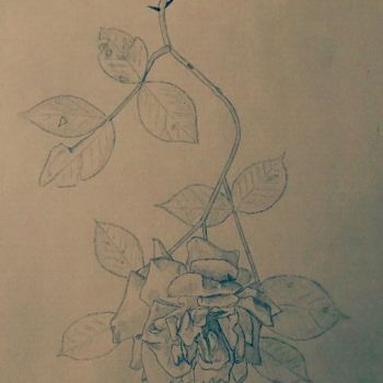 Drawing titled "La Rose" by Charrub, Original Artwork