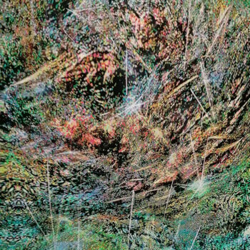 Arts numériques intitulée "Une tempête de grêl…" par Richard Raveen Chester, Œuvre d'art originale, Peinture numérique