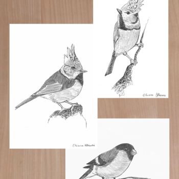 Disegno intitolato "Studio di uccelli" da Chiara Albanesi, Opera d'arte originale, Biro