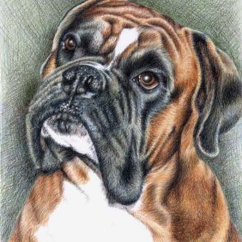 Painting titled "Boxer Balu" by Arts & Dogs, Original Artwork, Oil