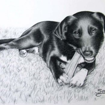 Painting titled "Labrador Samy" by Arts & Dogs, Original Artwork, Oil